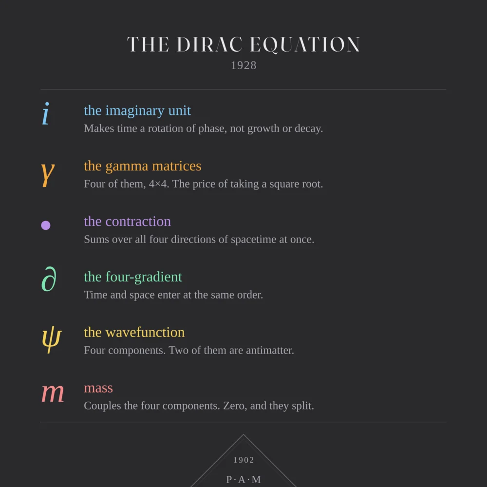 Close-up of the back print. The Dirac Equation, 1928. Each symbol in its colour with a line on what it means: i, the imaginary unit; gamma, the gamma matrices; the dot, the contraction; partial, the four-gradient; psi, the wavefunction; m, mass. Below, the top of a diamond panel reading 1902, P. A. M.